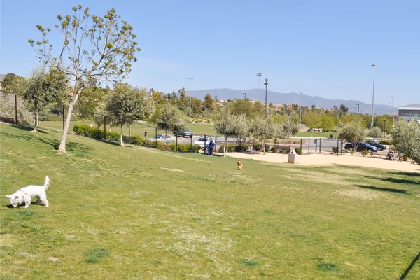Yucatan Dog Park